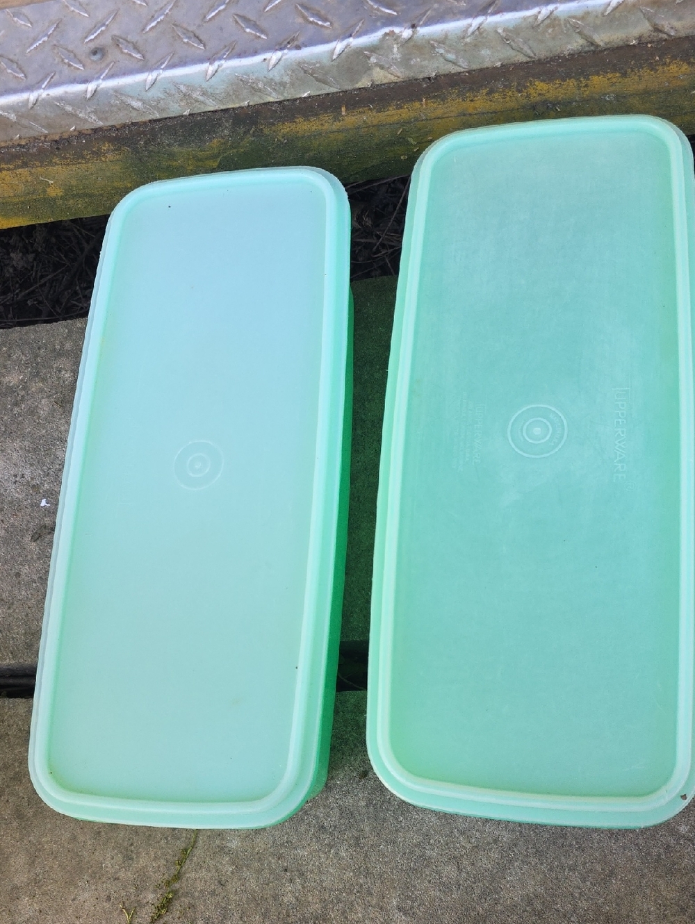 Tupperware Celery Keepers (2)